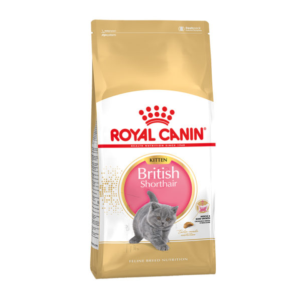 ROYAL CANIN British Shorthair Kitten 400 g, hrană uscată pentru pisoi