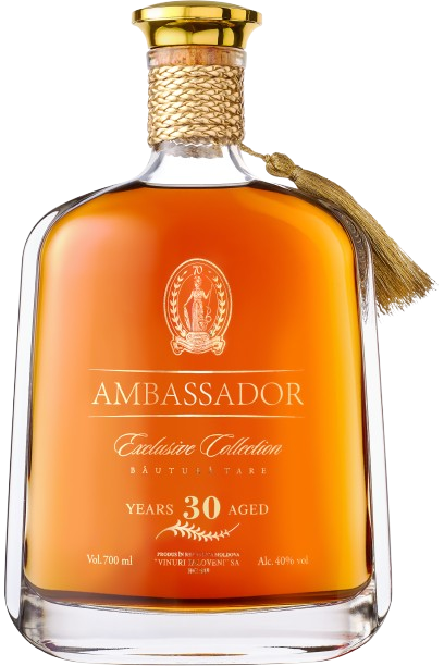 Ialoveni Ambasador divin 30 ani