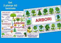 Arbori PT-7