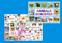 Animale mari şi mici în ogradă la bunici PT-1