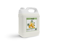 Săpun lichid Mango Melon 5L