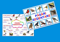 Păsări sedentare PT-5