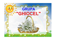 D9-24.2 Ghiocel (A4)
