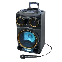Microfon Karaoke MUSE MC-20 B, Cu fir, Negru