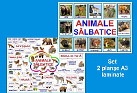Animale sălbatice PT-2
