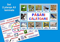 Păsări călătoare PT-4