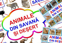 Animale din savană și deșert art.PT-177