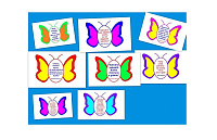 D17-S3 Set 8 citate (A3, laminat)