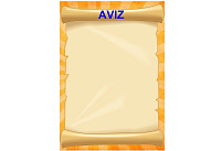 D9-44 Aviz