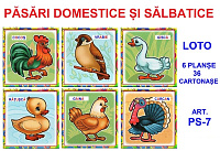 PS-7 Joc Loto Păsări domestice şi sălbatice
