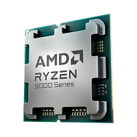 Procesor AMD Ryzen 9 9900X, AMD Radeon Graphics,  | Tray