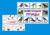 Зимующие птицы art.PT-205
