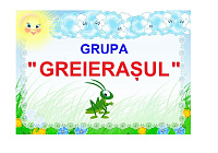 D9-11.2 Greieraşul (A4)
