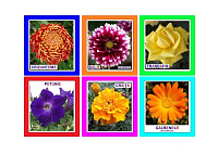 FL-9 Joc Loto Flori de toamnă