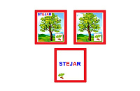 CO-4 Joc Loto Arbori (6+)