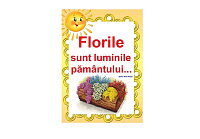 D17-C26 Citat (A3 laminat)