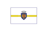 D8-43 Drapelul oraşului Chişinău (A4)
