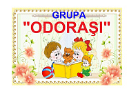 D9-28.2 Odoraşi (A4)
