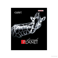 Caiet 48f Prostand coperta color TPR 48 -TC 1/12 01 linie mare