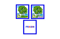 CO-7 Joc Loto Arbori şi arbuşti (6+)