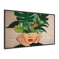 Display Philips 55BDL4650D, 55", Negru