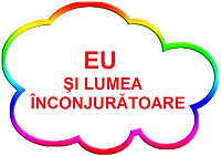 PT-133 SET DE PROIECTE TEMATICE CA SUBTEME LA HARTA PROIECTULUI GLOBAL - EU SI LUMEA ÎNCONJURĂTOARE
