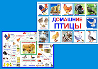 Домашние птицы art.PT-203