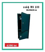 Promes MS 100