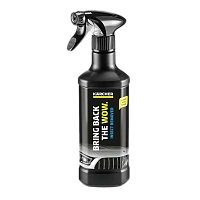 Detergent pentru eliminarea urmelor de insecte RM 618, 500 ml Karcher 6.295-761.0