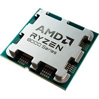 Procesor AMD Ryzen 5 8500G, AMD Radeon 740M,  | Tray