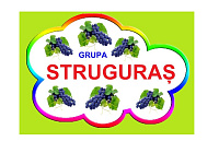 D9-41.2 Struguraş (A4)