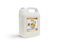 Soluție pentru băi Lemon 5L