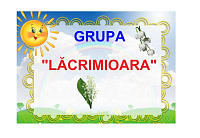 D9-14.2 Lăcrimioara (A4)