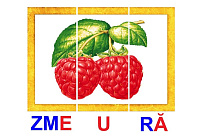 L-14 Puzzle silabic - Formăm cuvinte din silabe