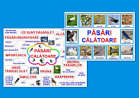 Pasari călătoare PT-4